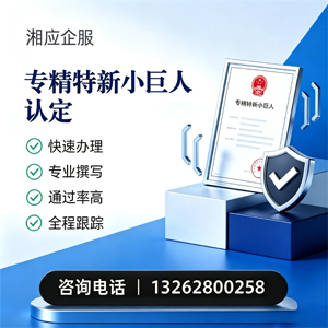 咸阳专精特新小巨人申报服务