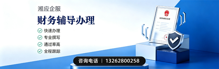 咸阳财务辅导申请服务