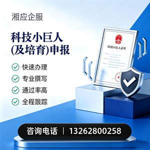 咸阳科技小巨人及培育企业申报服务