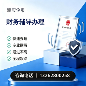 咸阳财务辅导申请服务