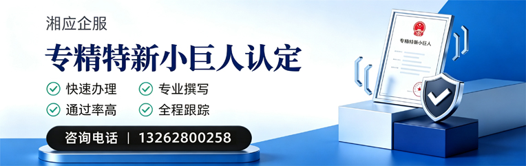 咸阳专精特新小巨人申报服务
